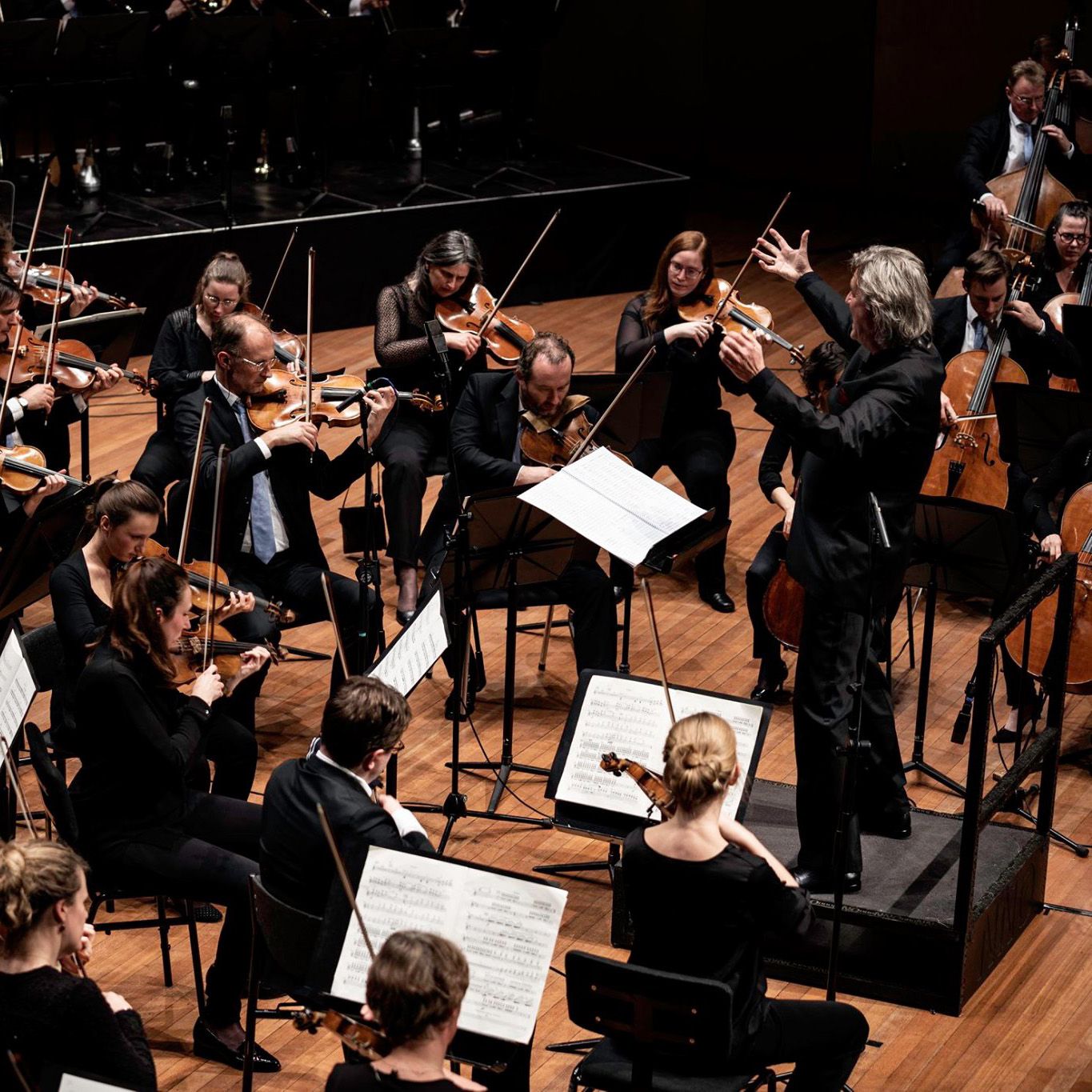 Photo of North Netherlands Symphony Orchestra
