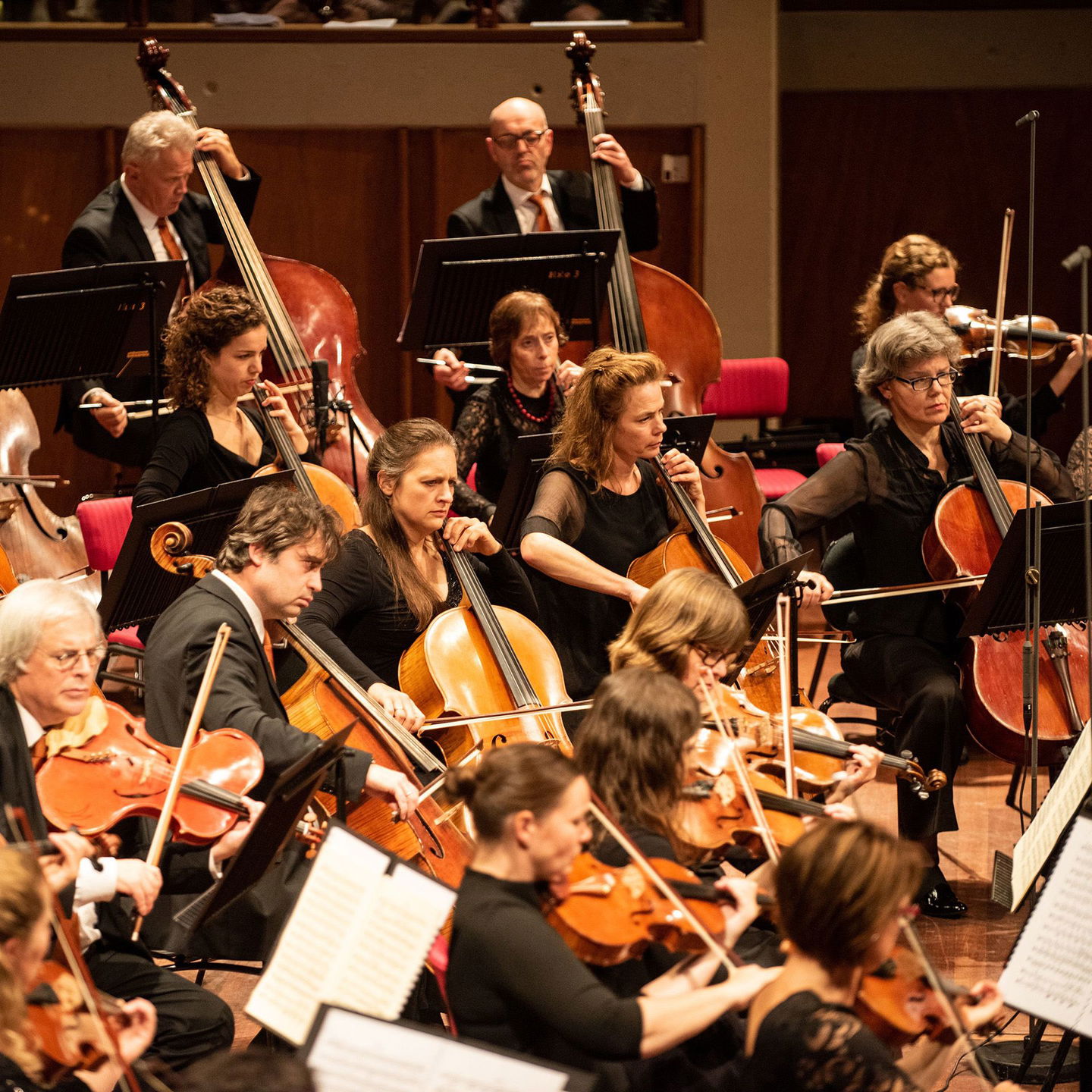 Photo of South Netherlands Philharmonic