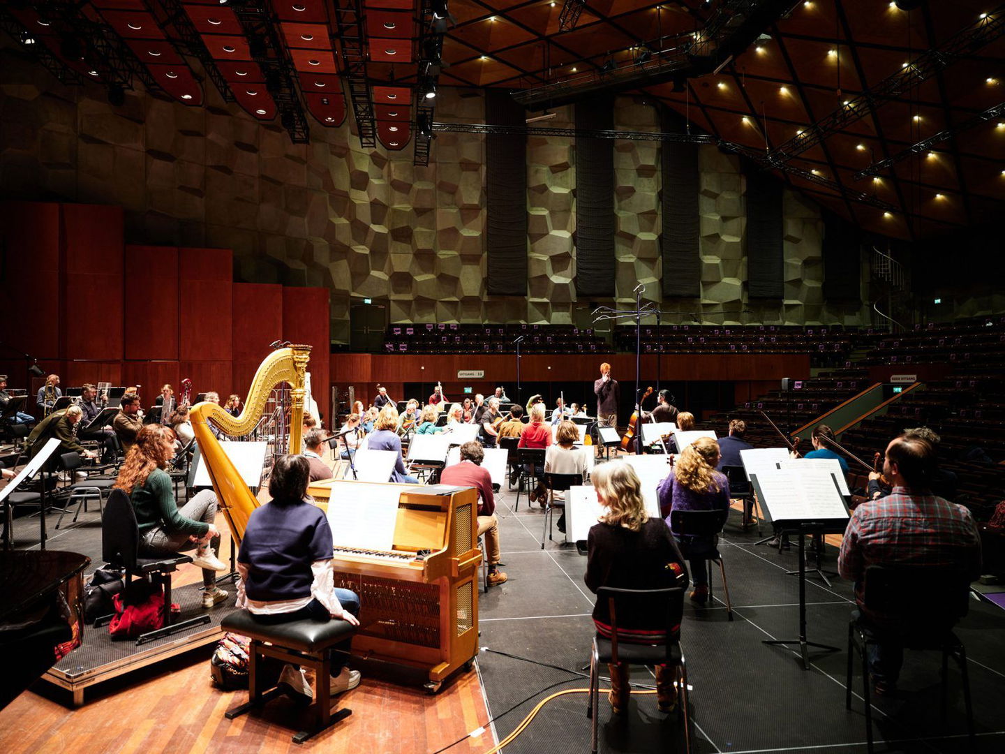 Featured image for Recording The Forest in April