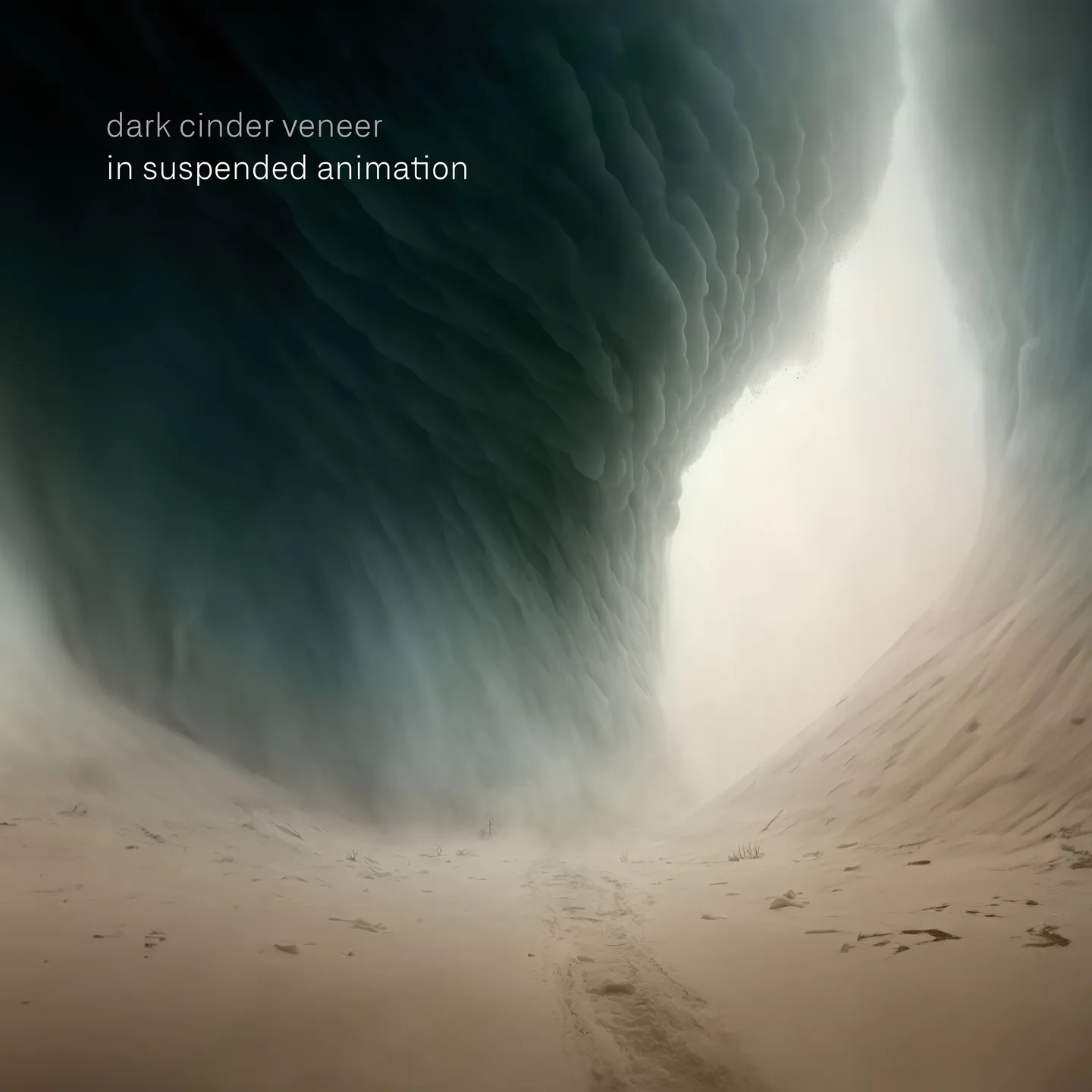 Album cover for in suspended animation by dark cinder veneer