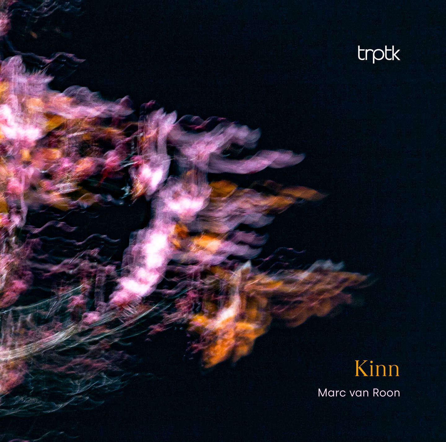 Album cover for Kinn by Marc van Roon