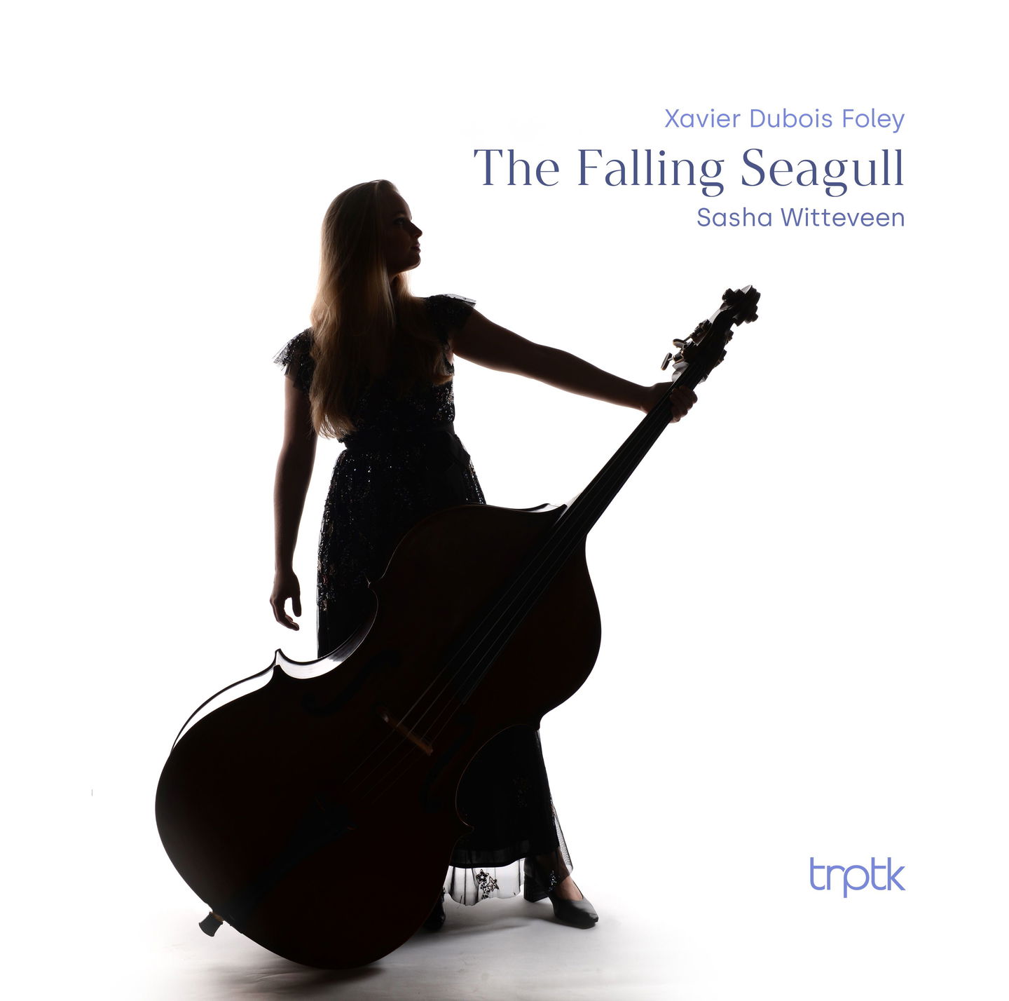 Album cover for Foley: The Falling Seagull by Sasha Witteveen
