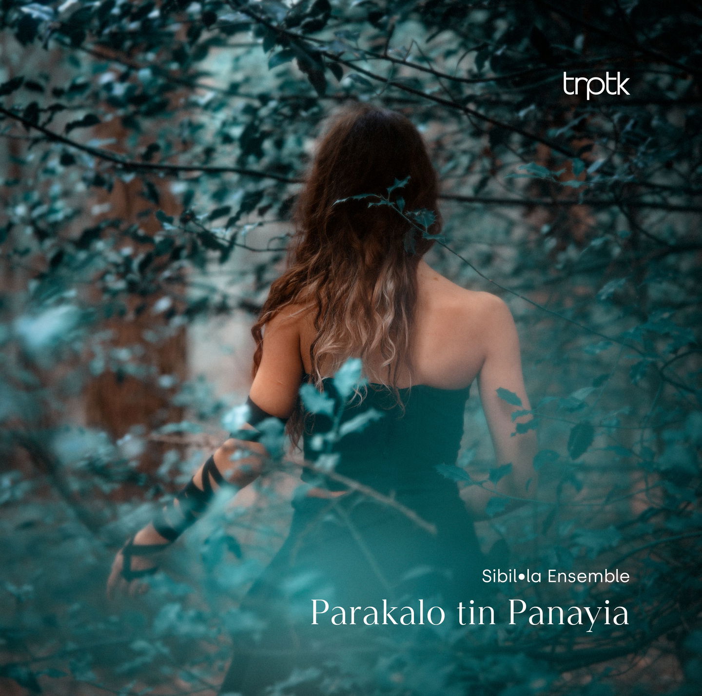 Album cover for Parakalo tin Panayia by Sibil•la Ensemble