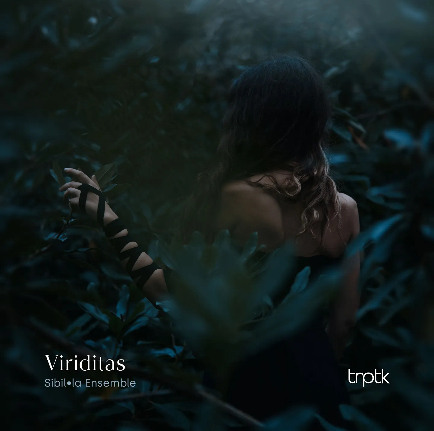 Album cover for Viriditas by Sibil•la Ensemble