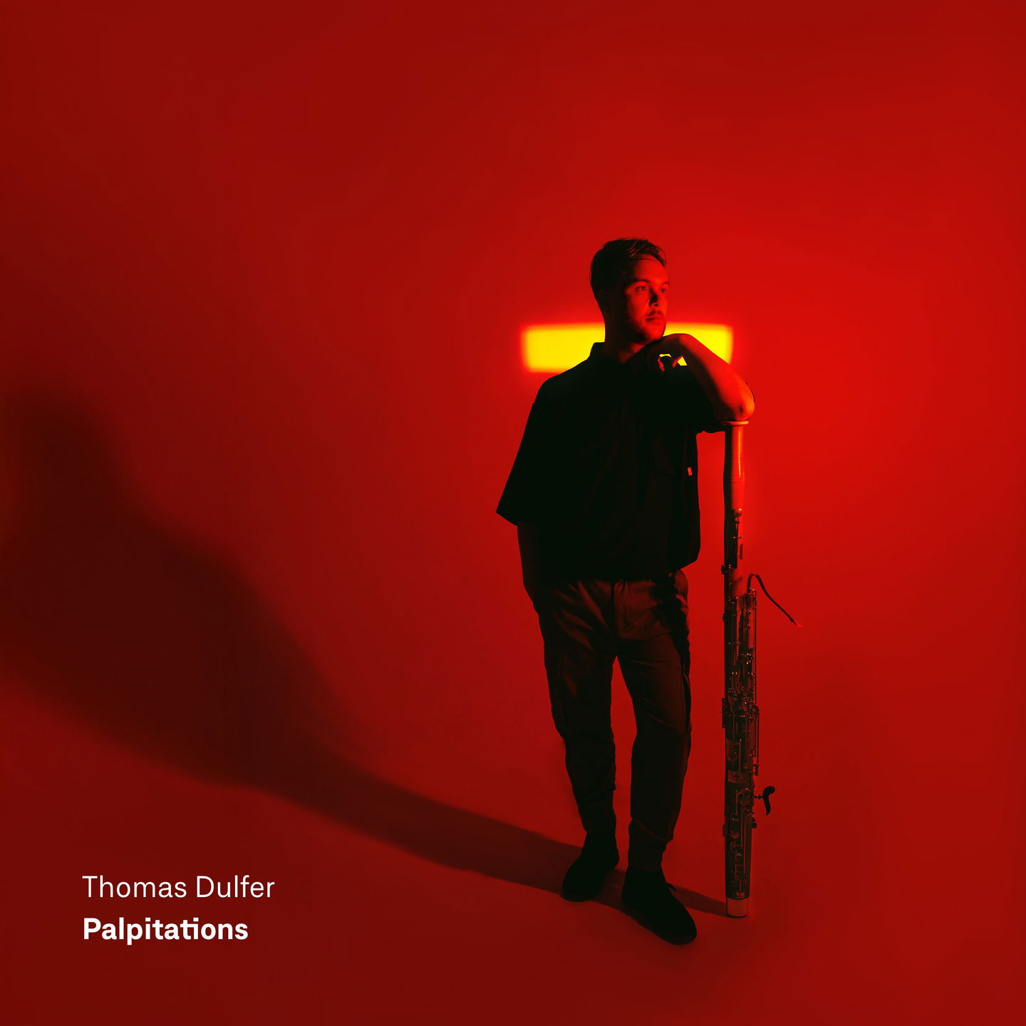 Album cover for Palpitations by Thomas Dulfer